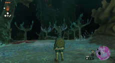 The Legend of Zelda: Tears of the Kingdom Screenshot